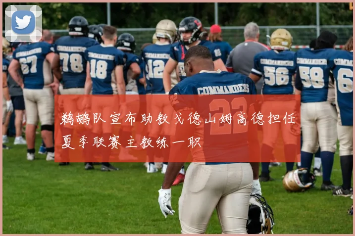 鹈鹕队宣布助教戈德山姆高德担任夏季联赛主教练一职
