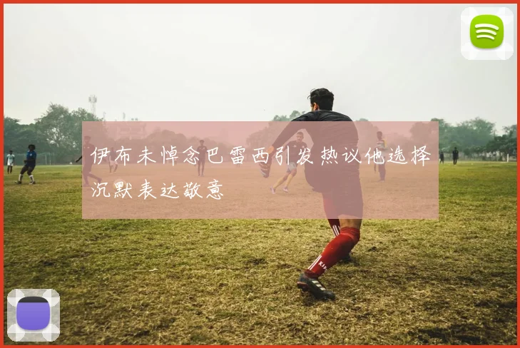 伊布未悼念巴雷西引发热议他选择沉默表达敬意